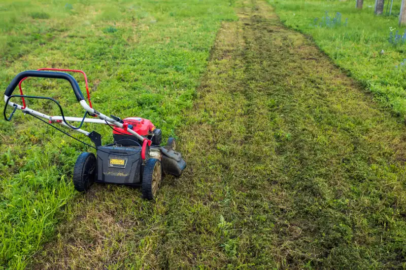 Can you mow wet grass in Tracy CA