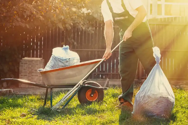 How to clear a yard full of weeds in Tracy CA 