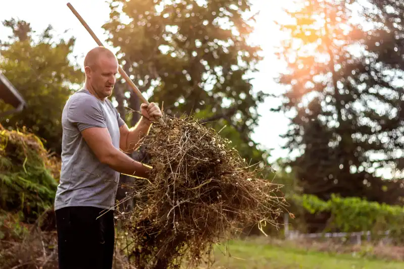 How to clear a yard full of weeds in Tracy CA