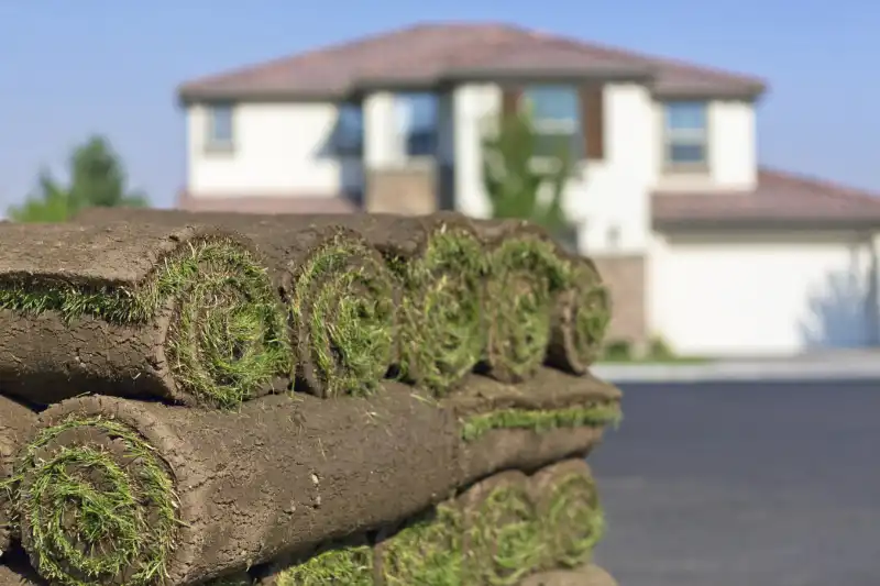 How to lay sod over existing lawn in Tracy CA 