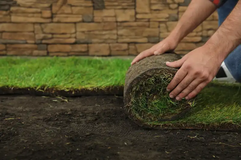 How to lay sod over existing lawn in Tracy CA 