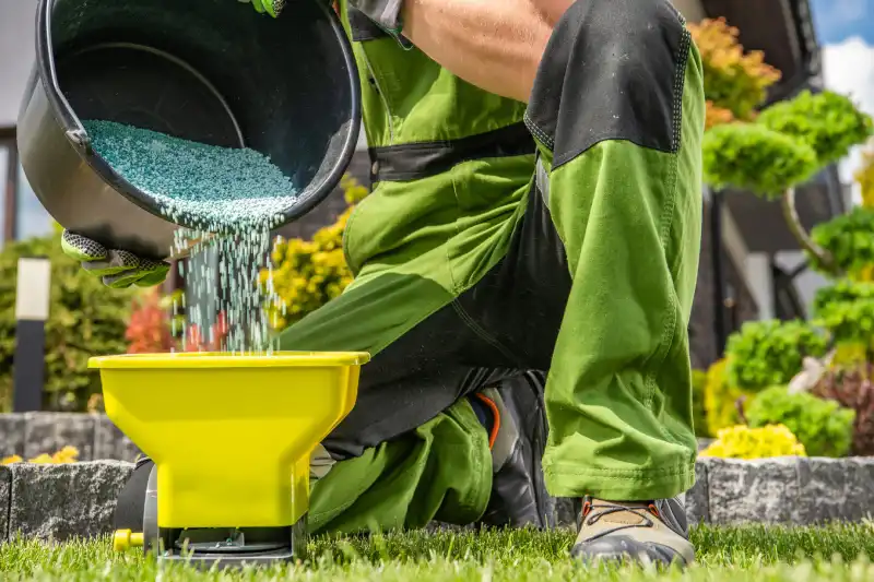 Outstanding Lawn Fertilization in Tracy CA 