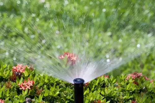 Reliable Lawn Irrigation Services