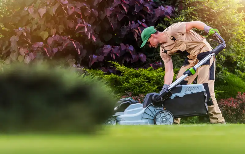 Professional Lawn Mowing service in Tracy CA 