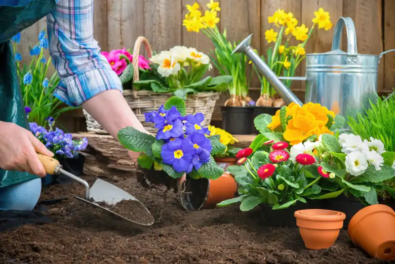 Outstanding Mulching in Tracy CA 