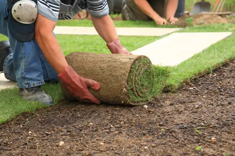 Reliable Sod Installation in Tracy CA