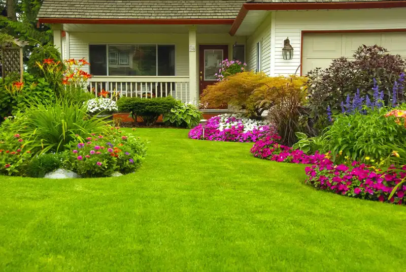 Professional Sod Installation in Tracy CA 