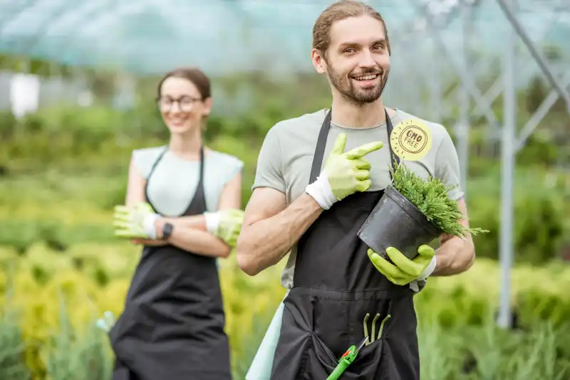 When is the best time to fertilize your lawn in Tracy CA