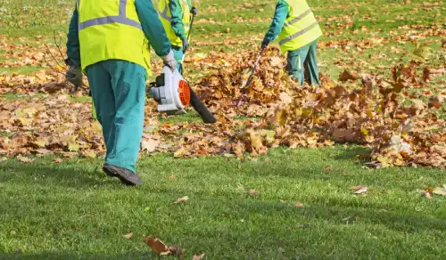 Yard Cleanup Services