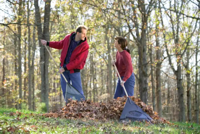 Professional Yard Cleanup in Tracy CA 