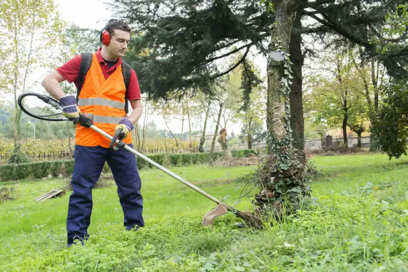 Reliable Yard Cleanup in Tracy CA 